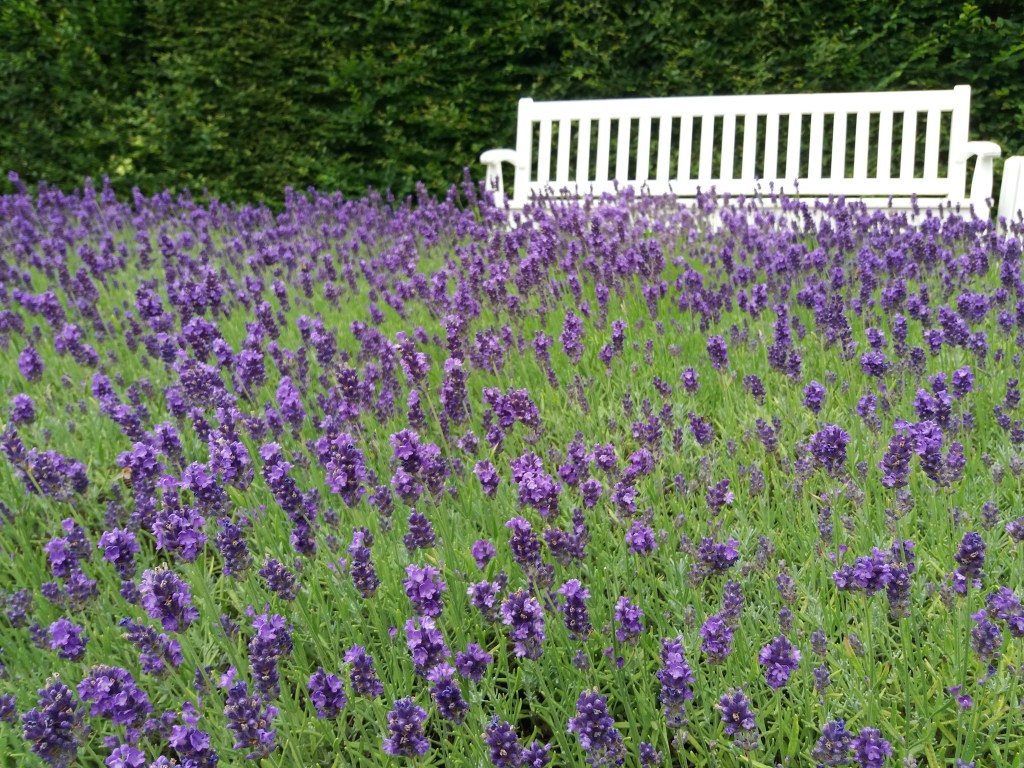 Stefanies Lieblingsyogaplatz