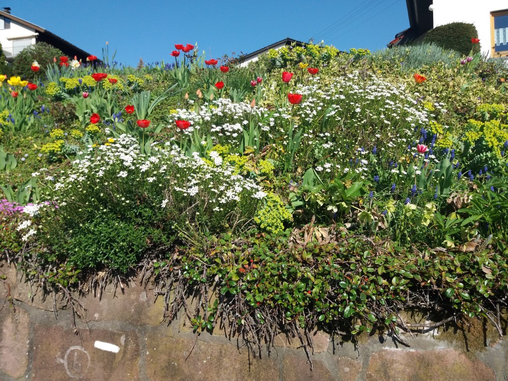 Stressfrei und stark in den Alltag durch Hatha Yoga